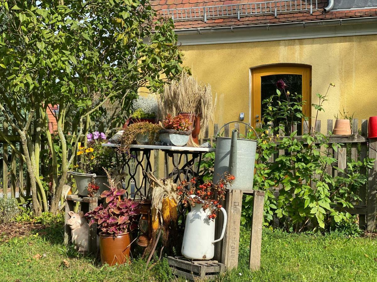 Moderne Pension Vonbartsch Mit Ladestation In Der Saechsischen Schweiz Struppen 외부 사진